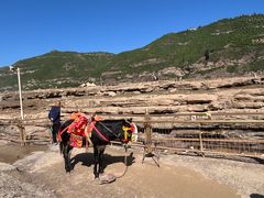 -陕西黄河壶口瀑布旅游区