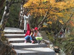 -叠溪松坪沟景区