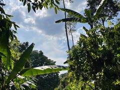 -中国科学院西双版纳热带植物园
