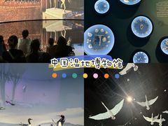 -中国湿地博物馆