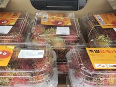-山姆会员商店(上海浦东店)