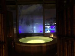 -春晖园度假酒店温泉