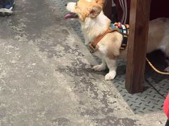 -破店肥哈·东北烧烤·夜宵(南山保利店)
