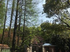 -上海佘山国家森林公园西佘山园