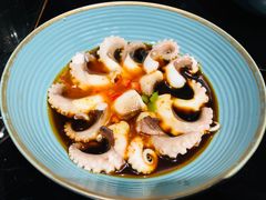 -海食焗(新光天地店)