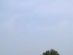 -新江湾城公园