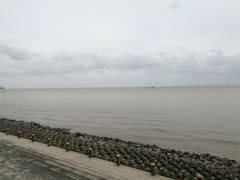 -瀛洲公园