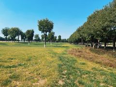 -汉长安城未央宫国家考古遗址公园