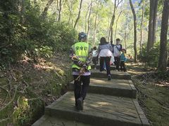 -广西龙虎山风景区