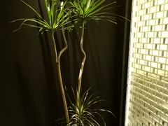 -宫燕府·京菜·烤鸭·淮扬菜(王府中心店)