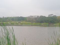 -东莞植物园