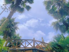 -重庆海昌加勒比海水世界