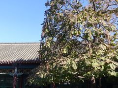-张学良旧居陈列馆