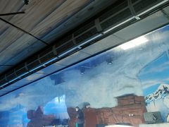 -海合安成都极地海洋公园