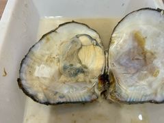 -十八字金·银饰·拼豆·开蚌DIY(魏公芳华里店)