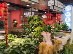 -洞庭家宴·头牌甲鱼(广渠门店)