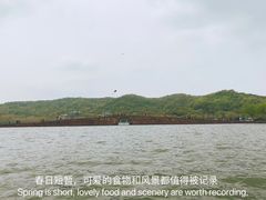 -西湖游船