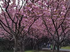 -苏州河梦清园环保主题公园