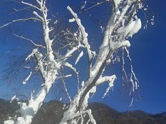 -秦岭终南山世界地质公园翠华山景区