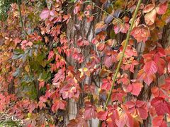 -春晖园度假酒店温泉