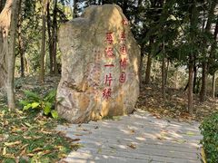 -深圳国际园林花卉博览园