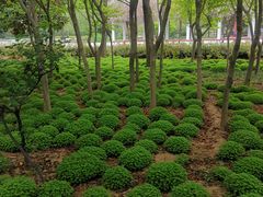 -洛阳市隋唐城遗址植物园