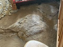 -中国第四纪冰川遗迹陈列馆