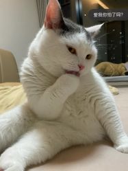 -熙画美上门MakeUp美甲美睫