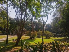 -中国科学院西双版纳热带植物园