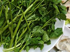 -湛林.粤西大排挡(前门店)