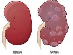-贝利宠物医院·骨科·眼科·肿瘤转诊中心(南坪诊疗中心)