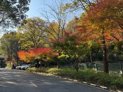 -西湖风景区-江洋畈生态公园