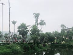 -枫香湖儿童公园