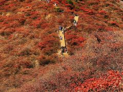 -水峪民俗村