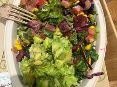 -油梨树 AVOCADO TREE(亮马桥店)
