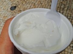 -洪馨椰子