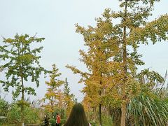 -白鹭湾湿地公园