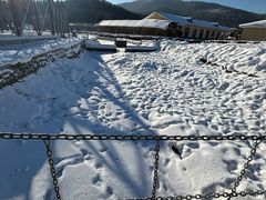 -横道河子东北虎林园