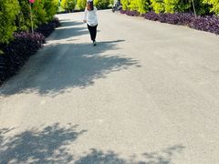 -金谷域澳洲庄园