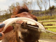 -南京金牛湖风景区