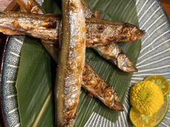 -傑·料理·海鲜放题(佛山文华荟店)