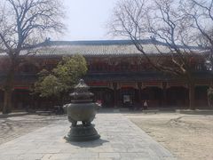 -灵谷景区