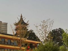 -绳金塔