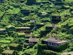 -枸杞岛