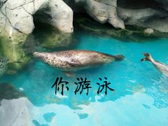 -华夏文旅海洋公园