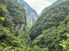 -鹿院坪生态旅游景区