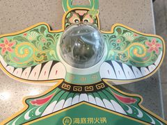 -海底捞火锅(苏宁生活广场店)