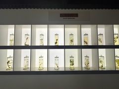 -李时珍纪念馆