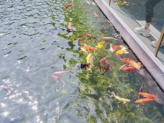 -太子园林酒家