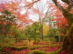 -常寂光寺